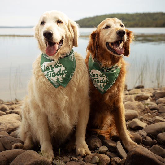 Pet Bandana